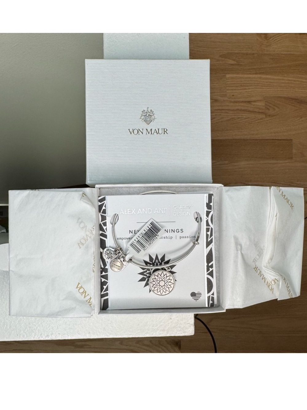 Alex and Ani Silver Charm Bangle Bracelet Compass